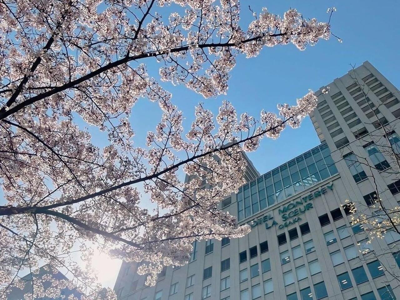 Hotel Monterey La Soeur Osaka Exterior photo